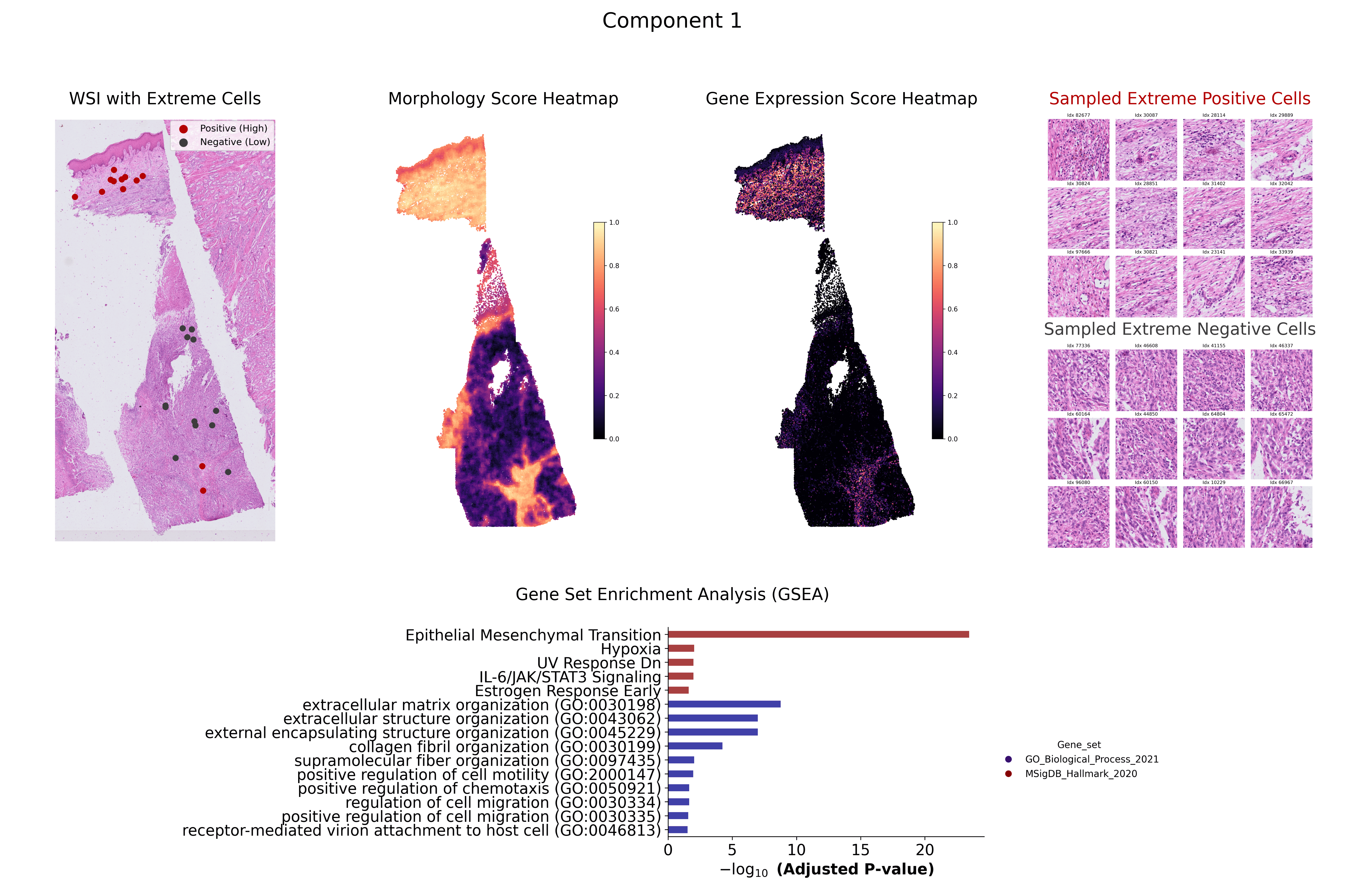 Component 1